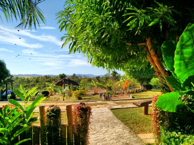 IMG_20150510_083542749