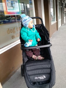 Carrinho Novo SomosdoMundo 