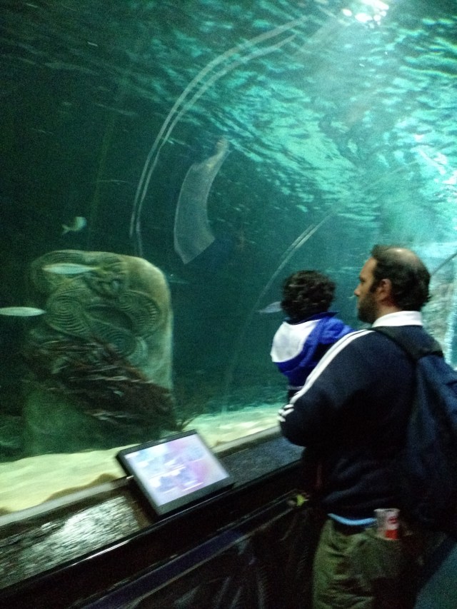 IMG_20150920_151231050_TOP