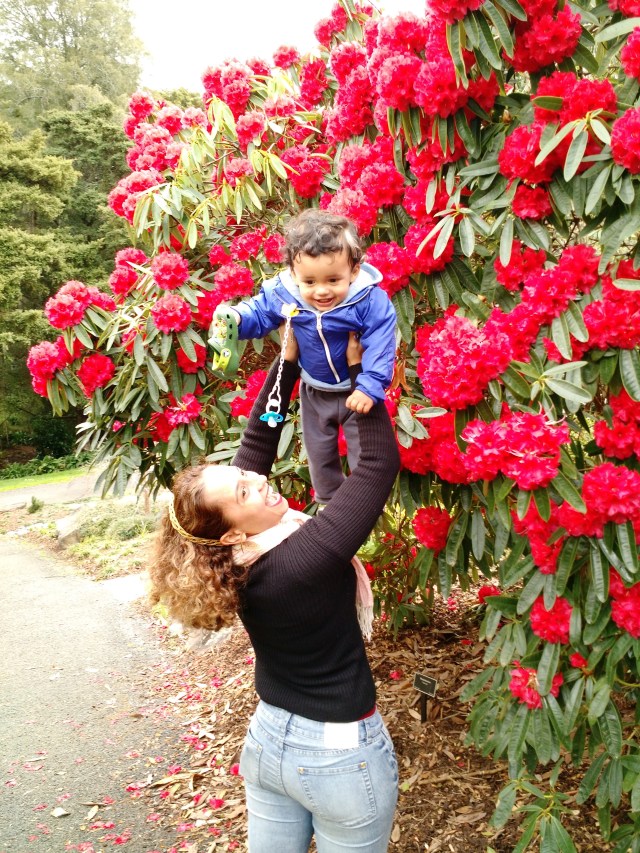 IMG_20150923_144351010